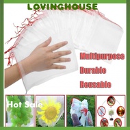 Fruit Protect Net Bag Garden Plant Mesh Drawstring Squirrel Kebun Beg Buah Nylon Mesh Fruit  Bag Keb