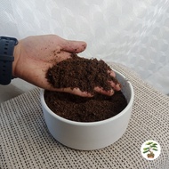 90s Greenovation Planting Material High Quality Peat Moss Soil