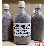 COD ✲▲GINAMOS BAGOONG TUGNOSDULONG  ng Bisaya from ROXAS CITY 375ml