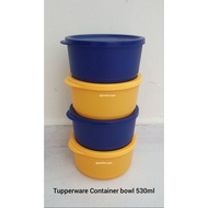 Tupperware Container Bowl (1pc)