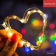 LEDHoliday Christmas Decoration Outdoor Waterproof Copper Wire Light Bouquet Bounce Ball Button Batt