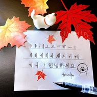 Korean writing pen, beautiful Korean writing pen, beautiful signature pen - MG07