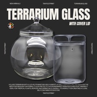 Glass Terrarium Jar with Lid – 12cm / 15cm Sizes for Terrarium & Isopods & Moss