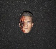 原裝 hot toys hottoys 拆出 dx13 戰損頭雕 第二集 terminator t-800 1/6 figure 12 inch 12吋 1:6 Arnold Schwarzenegg