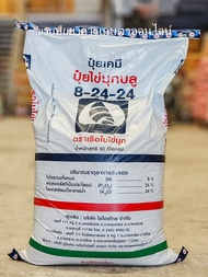 (50 กิโล) ปุ๋ย 8-24-24 ตราวาย.วี.พี สร้างดอก ผสมเกสร เพิ่มขนาด เพิ่มผลผลิต **สั่งครั้งละ1กระสอบ!!*