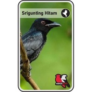 BURUNG SRIGUNTING HITAM TANGERANG