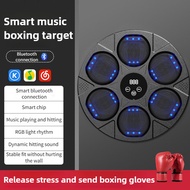 Hanging Boxing Target Bluetooth Music Boxing Wall Target Home Intelligent Sports Training Music Boxi