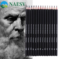 NAESV Sketch Pencil Set, 4B 5B 6B 7B 8B HB 2H 4H B 2B 3B Graphite Pencil, Journal Details Highlight 