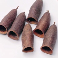 Seri Fino Pods - Pack of 3 - crabstick size (Aquatic Botanicals) (leaf litter)