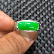 Myanmar Green Hazelnut Ring, Horse Saddle Pattern, Vip White Gold, Luxury, Class, MS62