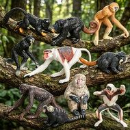 Simulation primate model solid proboscis monkey gibbon Japanese chimpanzee fox monkey ornament set s