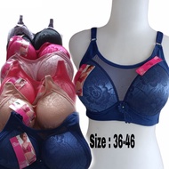 Beautiful Bra Polini G177 Cup C No.36-46