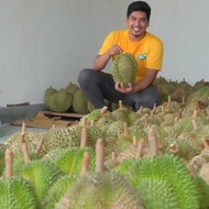Durian Montong Bali-Palu Premium Fresh Utuh Pilihan - Durian Sipapi