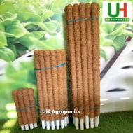 COCO STICK | BATANG SABUT