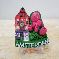 Fridge Magnet Fridge Magnet Souvenir Country Holland Netherlands Amsterdam Tulip
