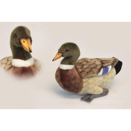 [Direct from Japan]HANSA Plush Toy Mallard Duck 34cm BH3601 Acrylic