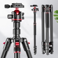 Camera Tripod Q173cm Photography Camera Retractable Multifunctional Tripod Micro SLR Mobile Phone Li