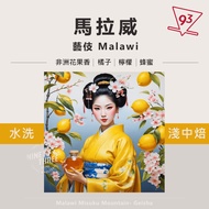 Malawi Miku Venus Geisha Washed Light Medium Roasted Coffee Beans {93 Coffee}