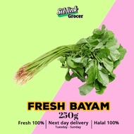 Fresh Bayam Chinese Spinach Harga Pasar Borong 250g SAYURAN SEGAR Vegetables Murah Grocery Segar Bar