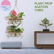 Plant Propagation Station Kit 6 Bulb Vase Double Layer Plant Terrarium Wall Hanging Novel Flower Bulb Vase SHOPSBC6262