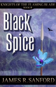 Black Spice (Knights of the Flaming Blade #3) James R. Sanford