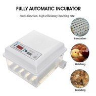 16eggs Poultry Hatchery Machine Mini Hatching  Brooder Small Chicken Bird Egg Hatchers Incubator for Quail Parrot Duck 30W 110-220V