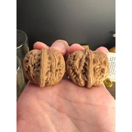 RUIXI Studio |【红皮爱心元宝】| Natural Walnut for Collection D53【品种】Yuan Bao Walnut Pair 小尺寸核桃对送礼收藏品自玩