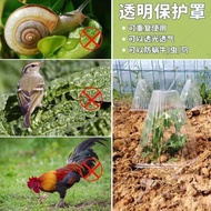 Seedling Protective Cover Transparent Bell Cover Reusable Protective Cover Greenhouse Greenhouse Avo