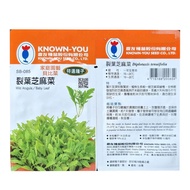 ♞,♘Known You Special Vegetable Seeds Wild Arugula Baby Leaf SB-085 KECORP_S1