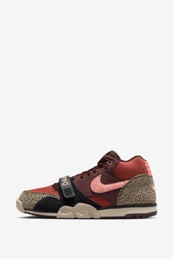 Nike SB Air Trainer 1 x Arts-Rec Skateshop Earth and Dusty Peach