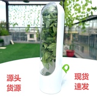 Cross-Border Hot-selling Asparagus Vanilla Fresh-keeping Box Environmentally Friendly Vegetable Fres
