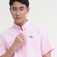 GALLOP : OXFORD CASUAL SHIRT เสื้อเชิ๊ตแขนสั้น รุ่น GW9031 สี Carnation Pink - ชมพู / ราคาปกติ 1490.