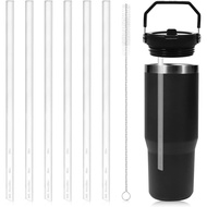 6PCS Replacement Straws Compatible with Stanley IceFlow Stainless Steel Tumbler 30 oz, Reusable Plas