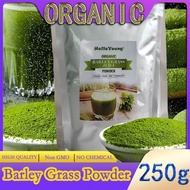 barley powder pure organic Organic Barley Grass Powder original 250g barley grass official store Rich in Immune Vitamin, Fibers, Minerals