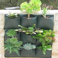 WALL PLANTER BAG 9 KANTONG EASY GROW TANAMAN DINDING VERTICAL GARDEN BERKUALITAS