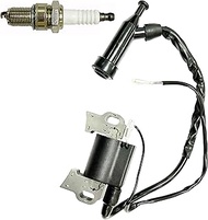 Ignition Coil With Spark plug for Titan TG6500 6500 TG6500ES TG7500M TG8000 TG8500M TG8500RC TG9000E