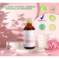 1 BOTOL Raluire glow wellness collagen (Collagen cair natural (Herbal)
