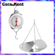 【Hot-selling】110 Lbs Large Display Hanging Scale with Scale Scoop Kitchen  Weight Scale Silver Indus