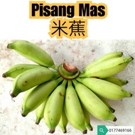 🇲🇾Ready Stock🇲🇾1kg/2kg/5kg Pisang Mas / Banana Mas / Boyan / 40 Hari / Susu / Lemak Manis / 蜜蕉/ 米蕉🍌