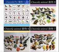 ChocoQ furuta 海洋堂動物蛋 日本正版海洋堂chocoq動物拼裝扭蛋玩具模型日本正版海洋堂furuta chocoq egg 巧克力蛋動物寵物拼裝扭蛋玩具模型擺件3.6.7. 9彈
