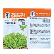 ▥ ❥ ✧ Known You Special Vegetable Seeds Wild Arugula Baby Leaf SB-085 KECORP_S1