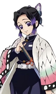 蝴蝶忍cos 大全套