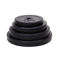 (FITNET) Bumper Rubberized Weight Plates (1 Inch) - Barbell / Weights / Gym / Fitness / / Strength