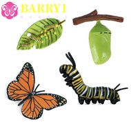 BARRY1 Growth Cycle Model Biology Educational Butterfly Growth Cycle Plastic Models Chicken Spider A