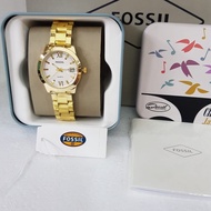 Af008 Latest Luxury Ladies Watches 2021 Korean Style Teenage Adult Elegant branded Chain Ori Water R