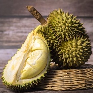 Durian Montong Utuh Di Jamin Manis Harga Per Kg