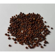 Vegetable seeds 10 seeds