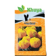 Dwarf Marigold Seeds F1 Red Orange AFM 46 AmeriSeed