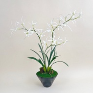 Akara Dokmaii Artificial Orchid pot Spider