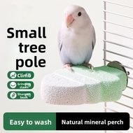 New Parrot Perch Small Tree Mineral Grinding Perch Stand for Budgerigar Parrot Chewing and Beak Grin